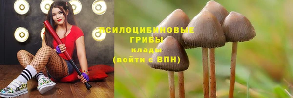 кристаллы Алзамай