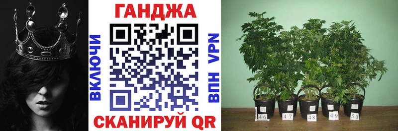 Бошки марихуана ГИДРОПОН  Сураж 